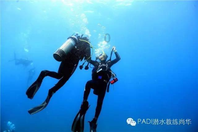 濮阳市子路小学举办2024年“龙吟新年 诗韵子路”新年诗会